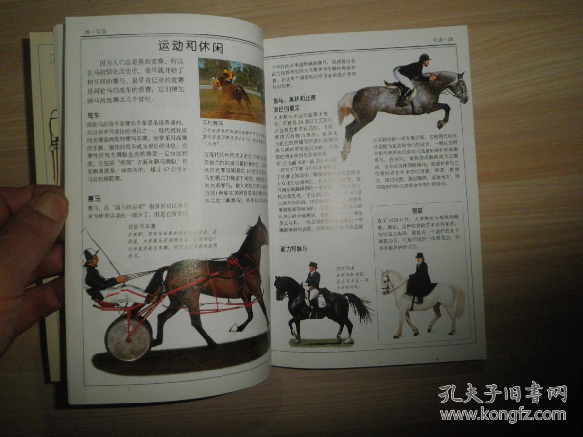第377页