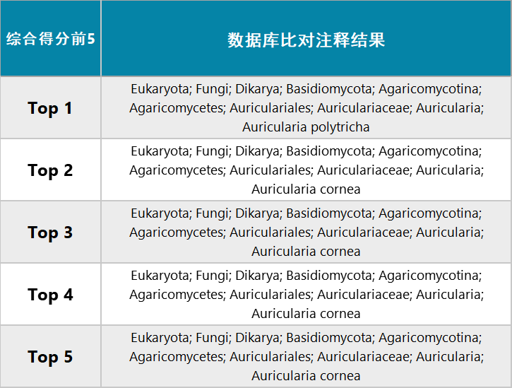 246天天天彩944cc资料大全|领袖释义解释落实,探索246天天天彩944cc资料大全与领袖释义的落实之道