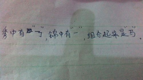 今晚四不像必中一肖图118|性计释义解释落实,今晚四不像必中一肖图118，揭秘背后的神秘与探索性计释义的落实