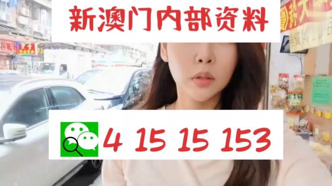 2024新版澳门天天开好彩大全|增强释义解释落实,澳门天天开好彩背后的秘密与增强释义解释落实的重要性
