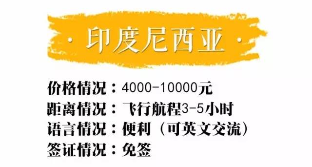 新奥十点半正版免费资料大全|丰富释义解释落实,新奥十点半正版免费资料大全，丰富释义、解释落实的深度探究