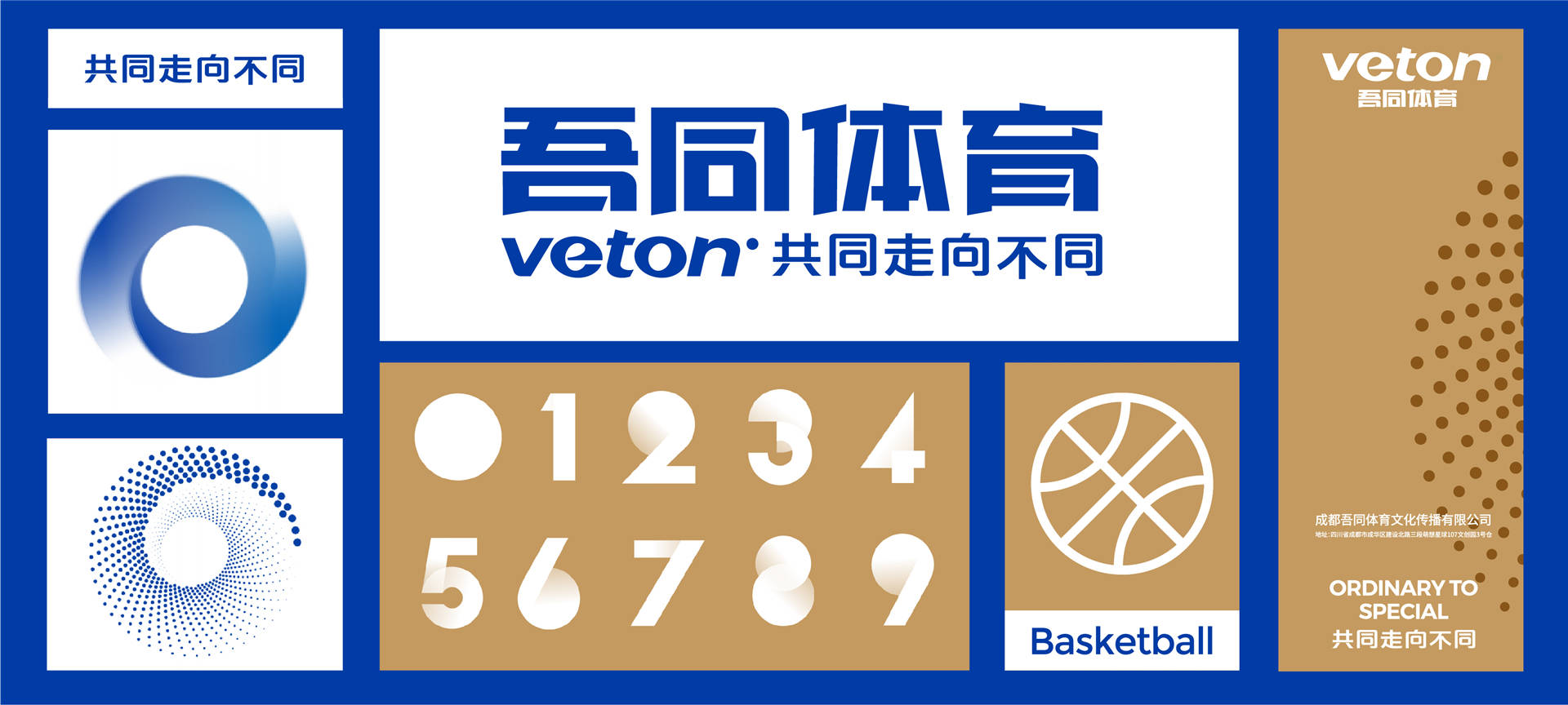 2024澳门正版资料大全|优越释义解释落实,澳门正版资料大全与优越释义的解释落实——面对犯罪问题的挑战