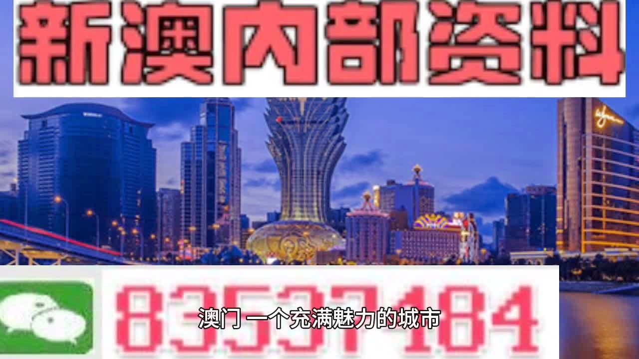 新澳门正版免费资料怎么查|简洁释义解释落实,关于新澳门正版免费资料的查询及相关问题解析
