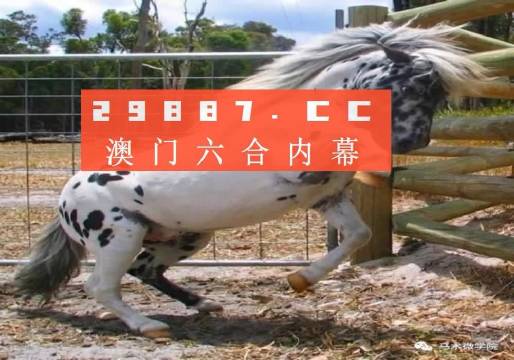 澳门管家婆一肖一码2023年|合理释义解释落实,澳门管家婆一肖一码与合理释义解释落实——揭开背后的真相与犯罪性质