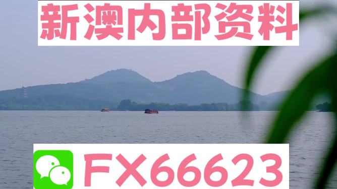新澳2024年最新版资料|未来释义解释落实,新澳2024年最新版资料，未来释义解释与落实展望