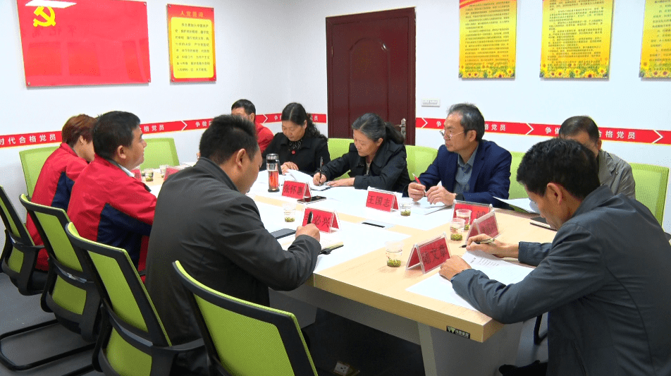 澳门今晚必开一肖1|视察释义解释落实,澳门今晚必开一肖与落实视察释义解释，一个关于犯罪与误解的探讨