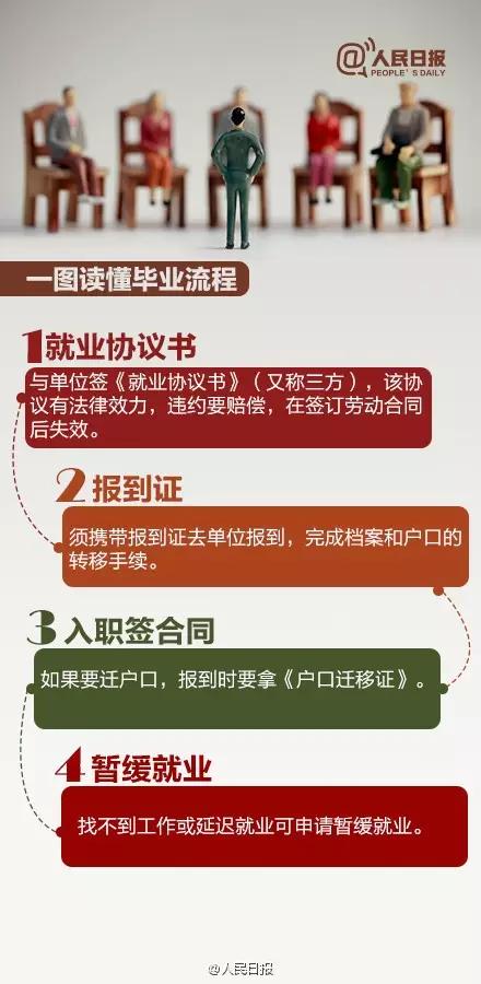 2924新奥正版免费资料大全|周全释义解释落实,探索2924新奥正版免费资料大全，全面释义与落实策略