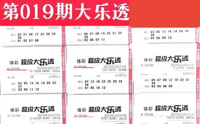 澳门天天彩期期精准澳门天|接待释义解释落实,澳门天天彩期期精准澳门天——接待释义解释落实与违法犯罪问题探讨