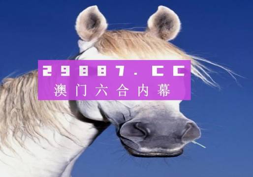 澳门开奖4949|改进释义解释落实,澳门开奖4949与改进释义解释落实的深度探讨