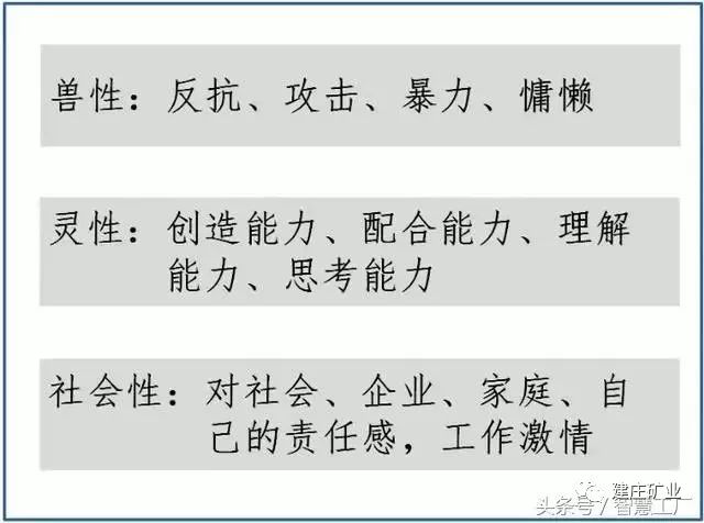 今晚澳门特马开什么号码|推理释义解释落实,今晚澳门特马开什么号码，推理、释义、解释与落实并非明辨是非的途径