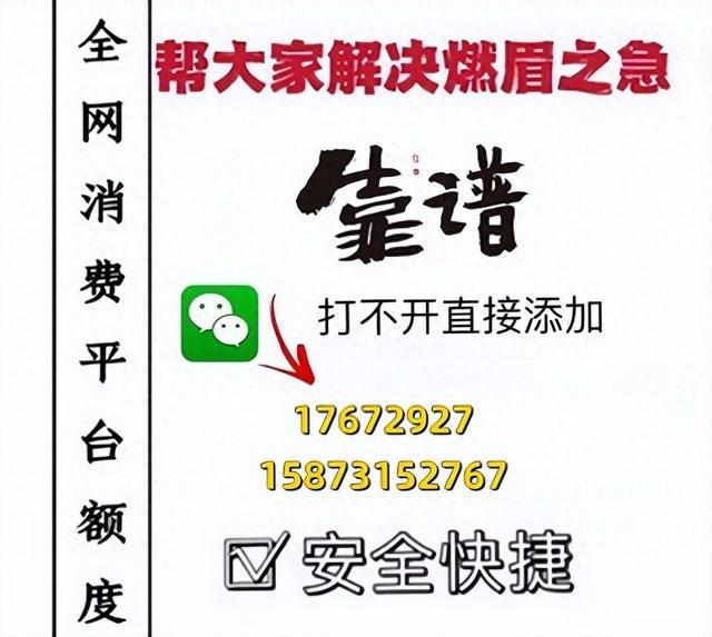 黄大仙2024最新资料|焦点释义解释落实,黄大仙2024最新资料与焦点释义，深入解读与落实行动