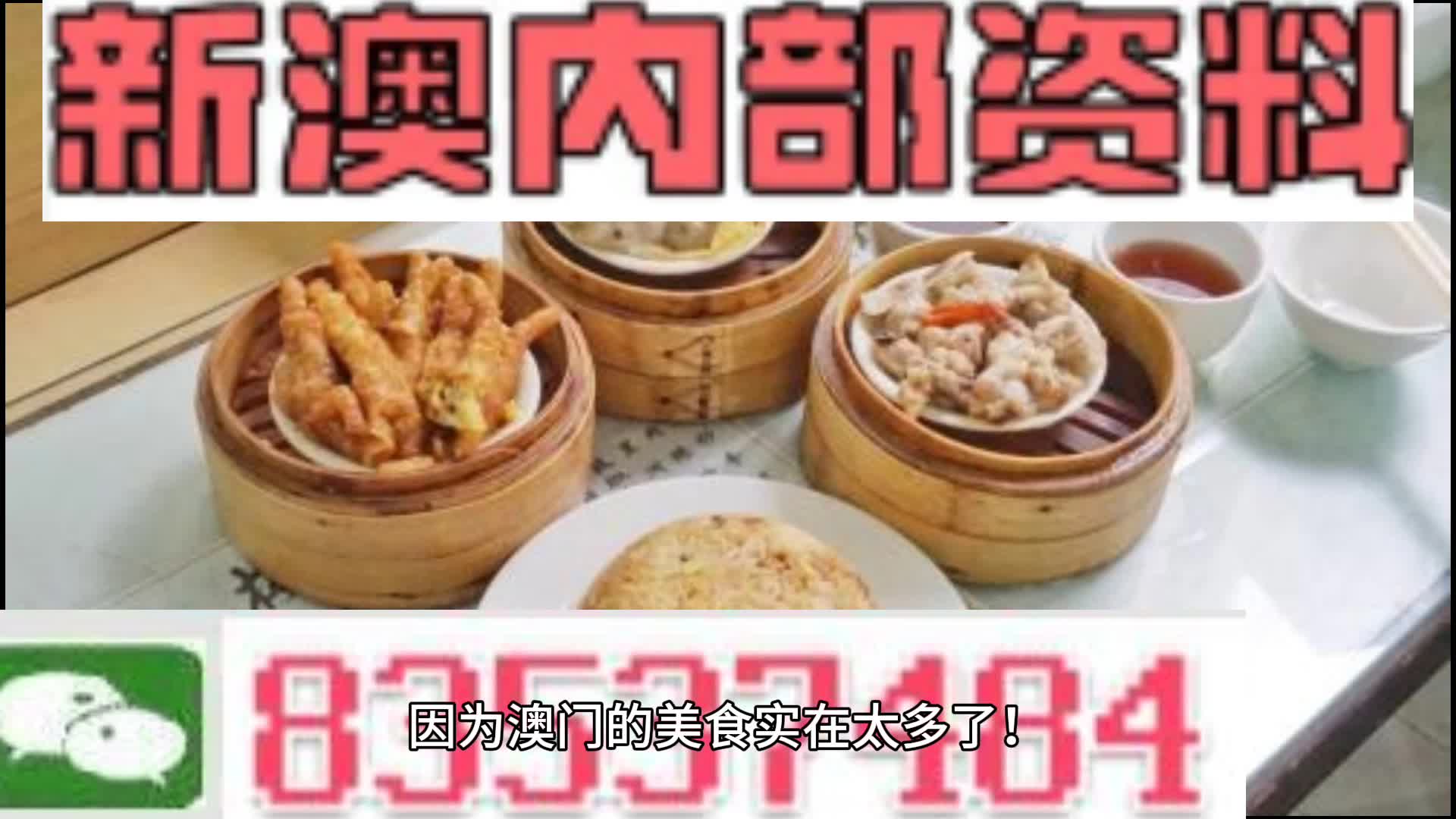 新澳门资料大全正版资料2024年免费下载,家野中特|案例释义解释落实,关于新澳门资料大全正版资料与家野中特案例释义的文章