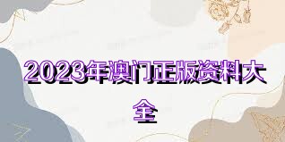 新澳门资料大全正版资料2023|筹谋释义解释落实,新澳门资料大全与筹谋释义，犯罪行为的警示与应对