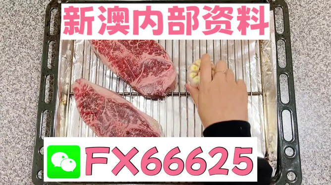 2024新澳资料免费资料大全|兼容释义解释落实,2024新澳资料免费资料大全，兼容释义、解释落实与未来展望