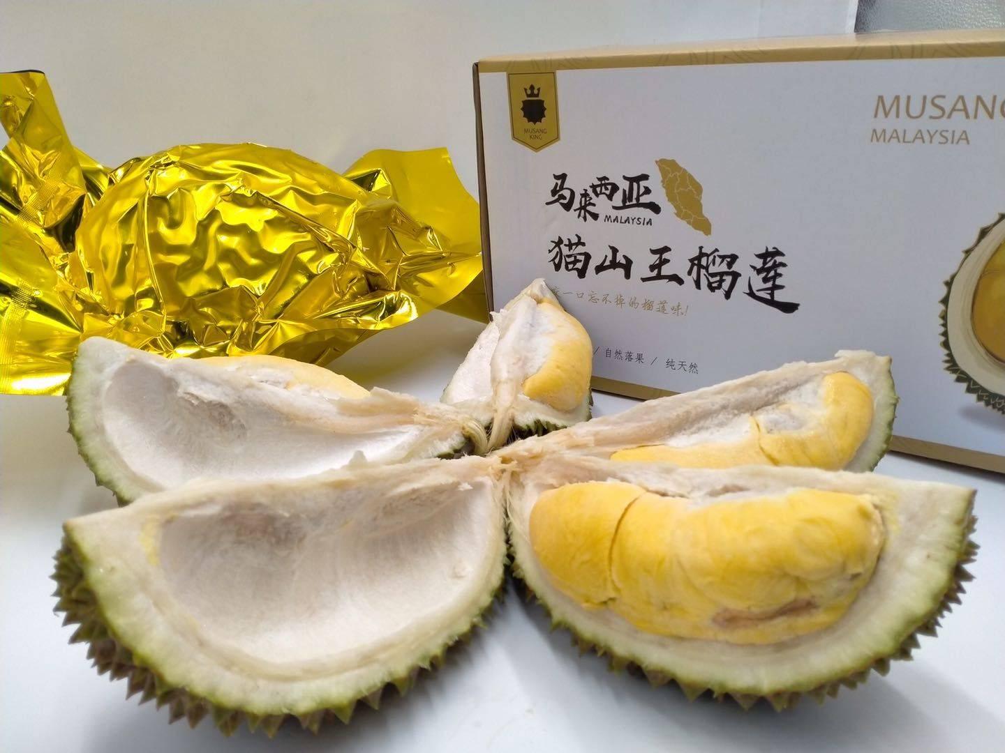 今晚澳门9点35分开什么|月异释义解释落实,今晚澳门9点35分的神秘面纱，探索未知与时间的交汇，以及月异的释义与落实