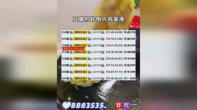 2024新澳开奖记录|前瞻释义解释落实,2024新澳开奖记录与前瞻，释义解释与落实策略