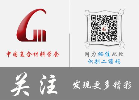 精准一肖一码一子一中|诚实释义解释落实,精准一肖一码一子一中，诚实释义、解释与落实