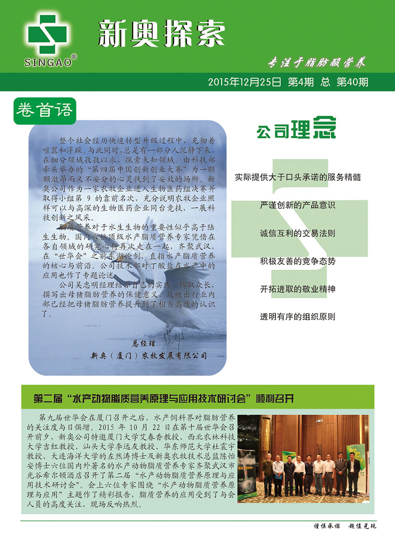 2004新奥精准资料免费提供|力量释义解释落实,免费分享新奥精准资料，力量释义、解释与落实的重要性