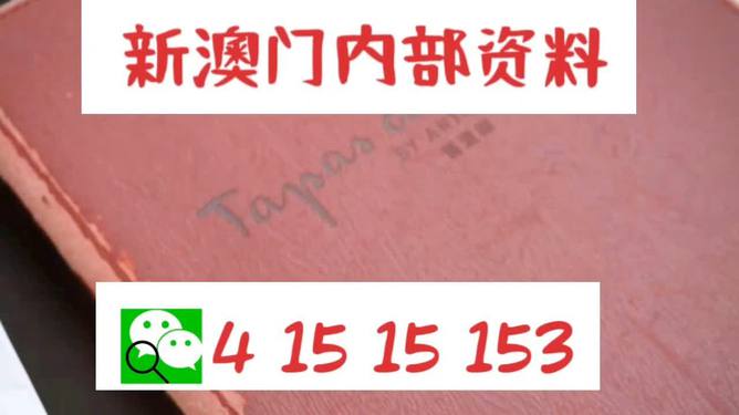澳门内部最精准免费资料|耐心释义解释落实,澳门内部最精准免费资料与耐心的力量，释义、解释与落实