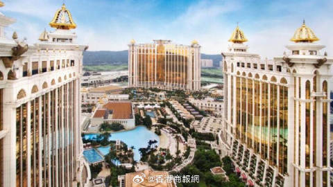 新澳门黄大仙8码大公开|圆熟释义解释落实,新澳门黄大仙8码大公开与圆熟释义的探讨——犯罪与法律落实的思考