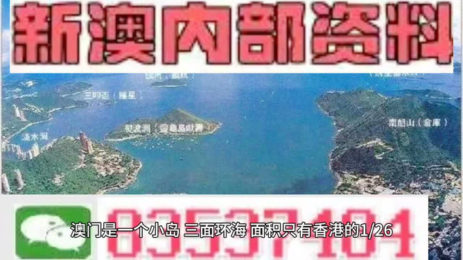 新澳门最新最快资料|以身释义解释落实,澳门最新最快资料与以身释义解释落实——犯罪预防与治理的新视角