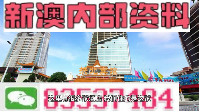 新澳门资料大全正版资料|体验释义解释落实,新澳门资料大全正版资料与体验释义解释落实，揭示背后的风险与挑战