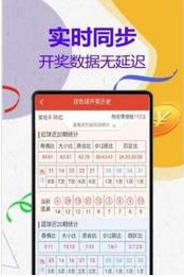 管家婆一码中一肖2024年|耐久释义解释落实,管家婆一码中一肖与耐久释义，探索、解释与落实