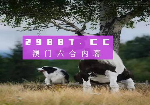 2024正版资料澳门跑狗图跑狗图|全员释义解释落实,澳门跑狗图跑狗图 2024正版资料解析与全员释义解释落实