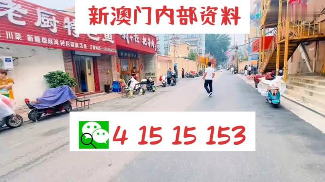 2024澳门天天开好彩大全免费|消费释义解释落实,2024澳门天天开好彩背后的消费释义与落实挑战——一个关于犯罪预防的探讨