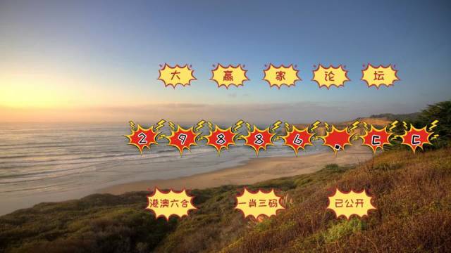 新2024年澳门天天开好彩|雄伟释义解释落实,新2024年澳门天天开好彩背后的探索与理解