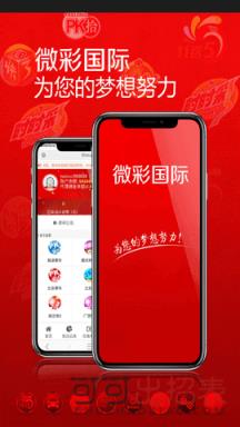 2024年新澳门天天开奖免费查询|结合释义解释落实,新澳门天天开奖背后的法律解读与公众责任