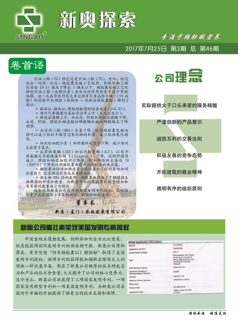 2024年新奥正版资料免费大全|性解释义解释落实,探索新奥世界，免费正版资料的获取与性解释义的落实