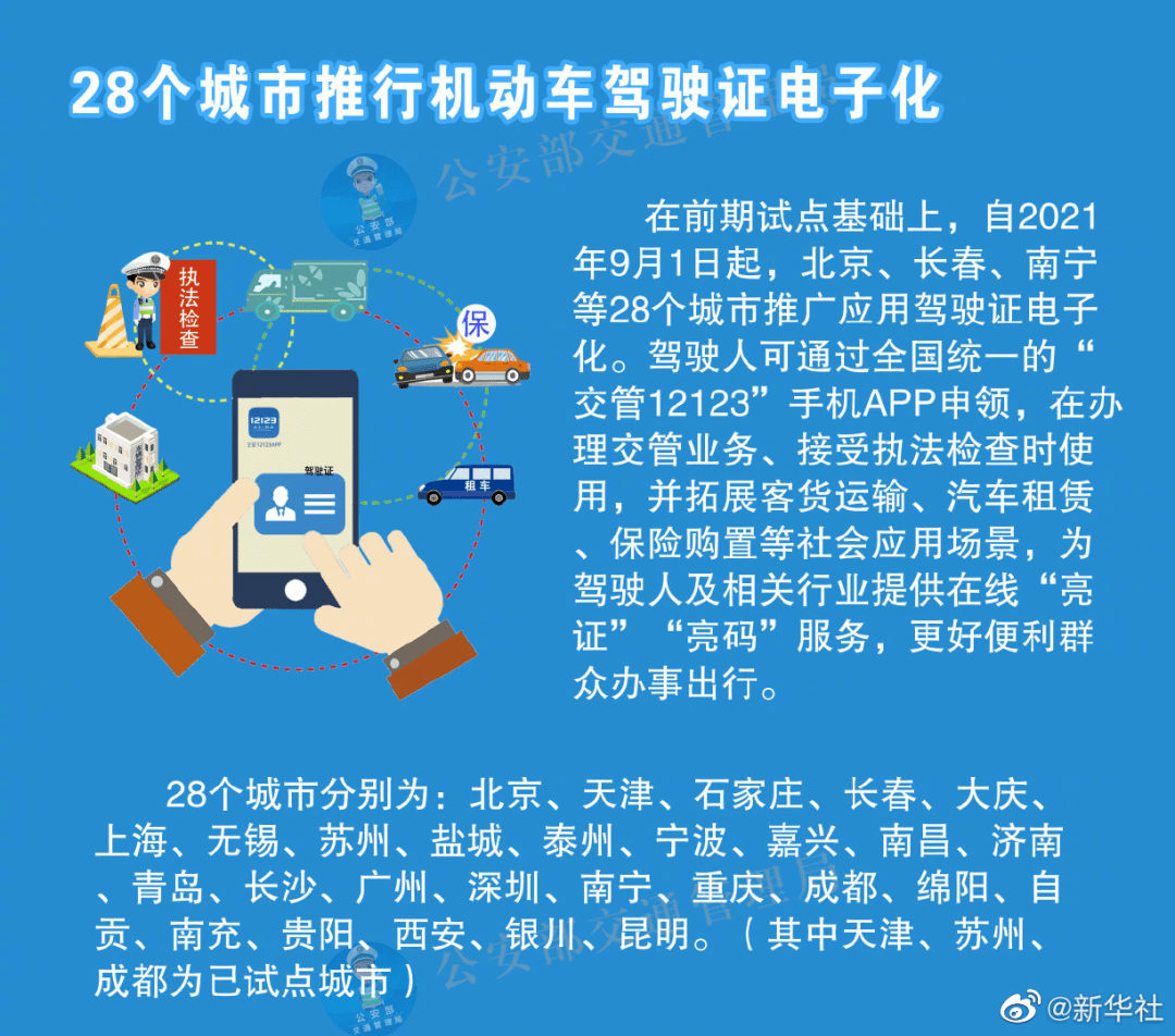 2024年新澳门免费资料大乐透|队协释义解释落实,解析澳门新乐透与团队协作落实策略，2024年澳门免费资料大乐透与队协释义解释落实研究