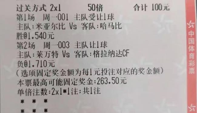 澳门平特一肖100%准确吗|如一释义解释落实,澳门平特一肖，解读准确性与如一释义的重要性